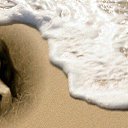 ���� ����, ��������, 45 ��� - ��������� 28 ����� 2014 � ������ ���� ����������