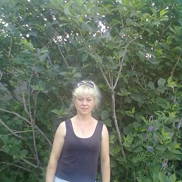 ���� �������, �������, 49 ��� - ��������� 23 ���� 2014