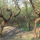 ���� ���, �������, 68 ��� - ��������� 15 ��� 2014 � ������ ���� ����������