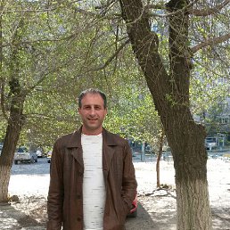 ������ , 56 ���, ���������