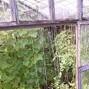 ���� ��������, ������ - ��������� 12 ������� 2014 � ������ ������ ��������