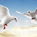 ���� ��������, ��������, 70 ��� - ��������� 25 ���� 2014 � ������ ������