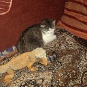 ���� ������, ������, 63 ���� - ��������� 11 ���� 2014 � ������ �������