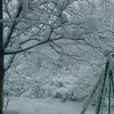 ���� ������, ����, 43 ���� - ��������� 8 ��� 2014 � ������ ���� ����������