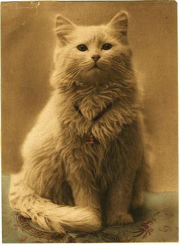 ���� �� ������ ���������� ����� (1880-1890).