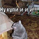���� �����, ��������, 51 ��� - ��������� 21 ���� 2014 � ������ ������ ��������