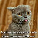 ���� �����, ������ ��������, 64 ���� - ��������� 12 ������� 2014