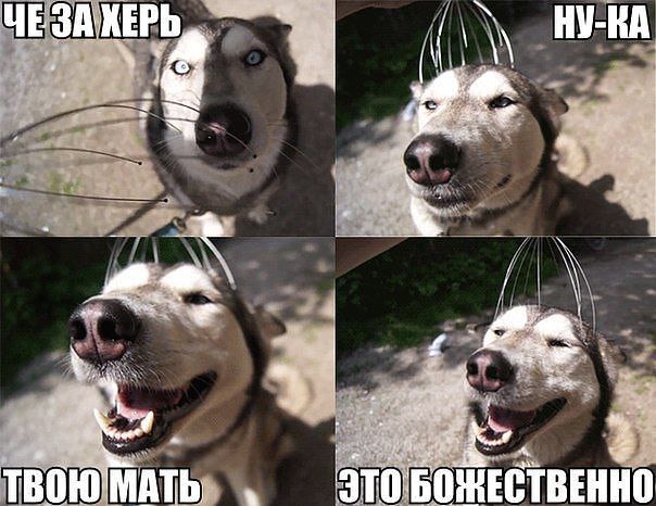 ������ = ^_^ = ��� - 28 ����� 2014 � 01:03