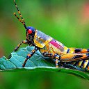 ���� �����, �������, 56 ��� - ��������� 29 ������ 2014 � ������ ���� ����������