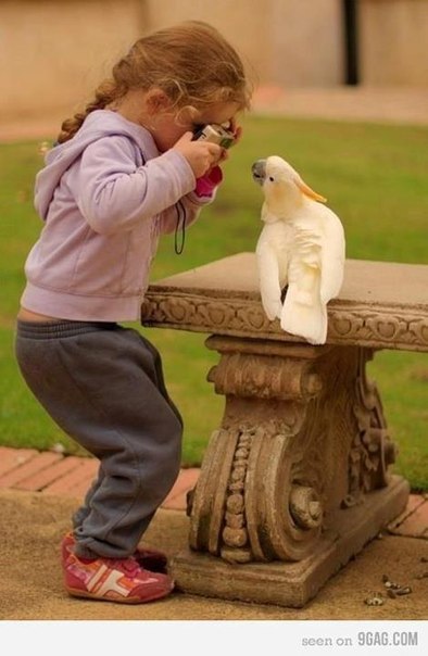 ★   ★ - 13  2014  15:07