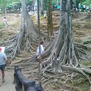 ���� � �������� �� ������� �������� 2014�