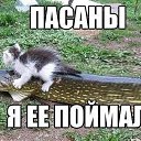 ���� �����, �������������, 59 ��� - ��������� 30 ����� 2014 � ������ ������ ��������
