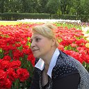 ���� ����� ����, ������� - ��������� 18 ������� 2014 � ������ ���� ����������