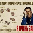 ���� �����, ����� ������� - ��������� 22 ������� 2014 � ������ ������ ��������