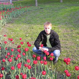 ���� ����, ������, 41 ��� - ��������� 28 ����� 2014