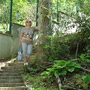 ������ 2014� ����