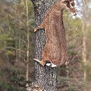 ������ �� �� �������,,,,, ������ �� �� �������......... �� ������� �������� ��� ��� �����