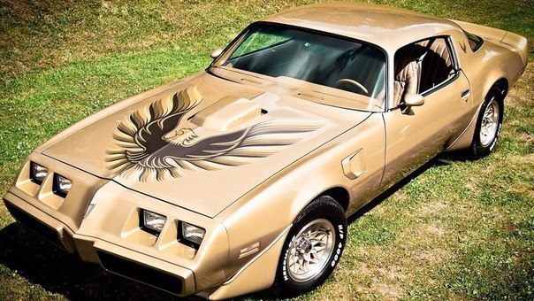 1979 Pontiac Firebird