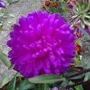 ���� ������� �����, �������������, 67 ��� - ��������� 11 ������� 2014 � ������ ������ ��������