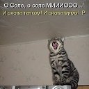 ���� ������, �������, 37 ��� - ��������� 1 ������� 2014 � ������ ���� ����������