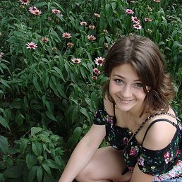 ������, ���������, 37 ���