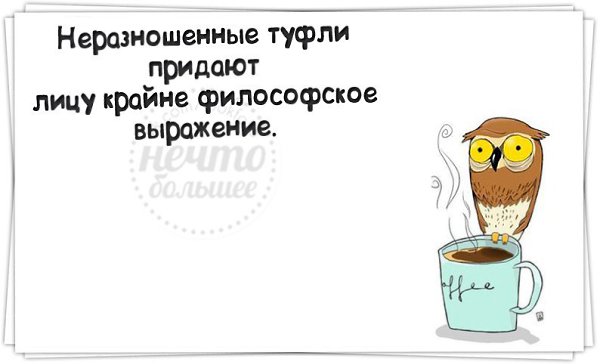   - 23  2014  12:41
