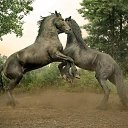 ���� ������, ����������� - ��������� 1 ������� 2014 � ������ ��������