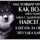  M@rin@, , 65  -  5  2014    