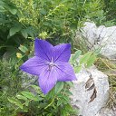 ���� ��������, ����� �����, 40 ��� - ��������� 18 ������� 2014 � ������ �������