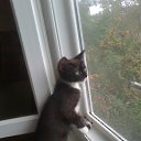 ���� �������, �������, 72 ���� - ��������� 2 ������� 2014 � ������ ���� ����������