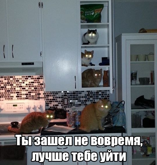  -  - 11  2014  14:04