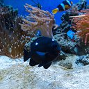  , , 46  -  24  2014      &quot; &quot;