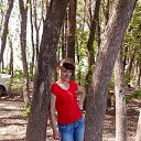 ���� ��������, ���������, 49 ��� - ��������� 3 ���� 2014 � ������ ���� ����������