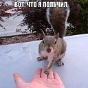 ���� �����, ������, 46 ��� - ��������� 5 ������� 2014 � ������ ������ ��������