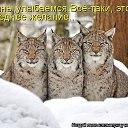 ���� �������, ���������� - ��������� 6 ���� 2014 � ������ ������� ���� �������