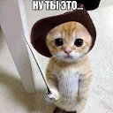 ���� �����, ������, 43 ���� - ��������� 27 ���� 2014 � ������ ������ ��������