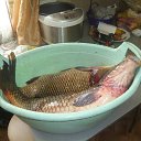 ���� ������, ���������, 54 ���� - ��������� 9 ���� 2014 � ������ ���� ����������