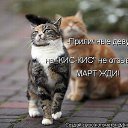 ���� �������, ��������-��-������, 48 ��� - ��������� 10 ������� 2014 � ������ ������ ��������