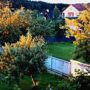 24.06.2014. ������ ����. �� ������� ������Ż