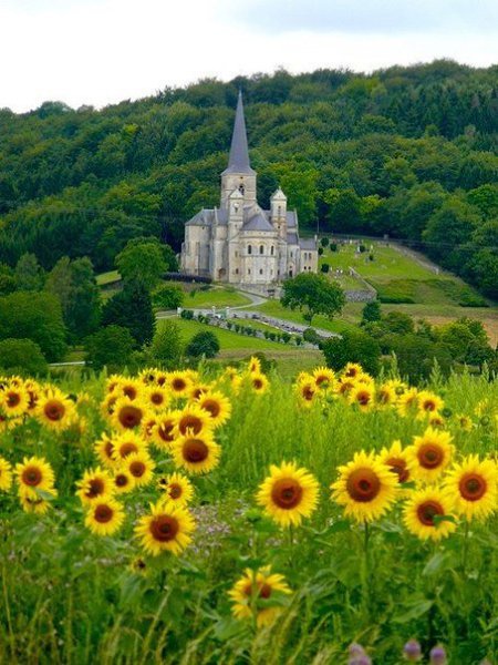 ������� Mont-Devant-Sassey, �������