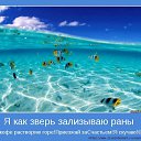 ���� ��������, ������ �������� - ��������� 1 ���� 2014 � ������ ������ ����� �� ����...�