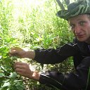 ���� ����, ������, 41 ��� - ��������� 20 ������� 2014