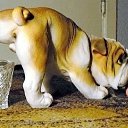 ���� Robert, ����������� - ��������� 28 ���� 2014 � ������ ���� ����������