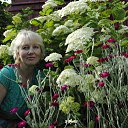 ���� �����, ������� ����, 53 ���� - ��������� 19 ���� 2014 � ������ ���� ����������