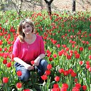 ���� ��������, ������ - ��������� 29 ���� 2014