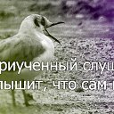 ���� �����, ������� - ��������� 14 ��� 2014 � ������ ������ ��������