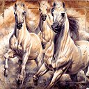  Natalia, , 62  -  30  2014    