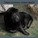 ���� �������, �����-��������� - ��������� 6 ��� 2014 � ������ ������ ��������