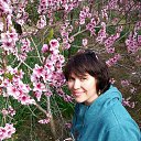 ����� �����. ���� 2014 �� ������� ���� ����������