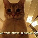 ���� �����, �������, 52 ���� - ��������� 4 ���� 2014 � ������ ������ ��������